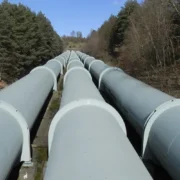 Газопровід в лісі по прямій лінії-galery
